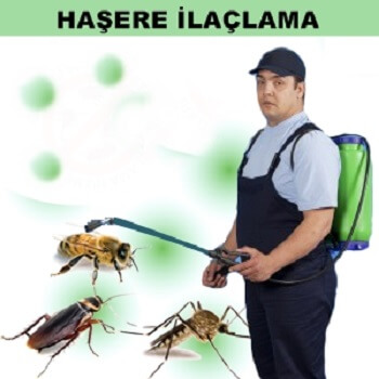 Çeşme Böcek İlaçlama
